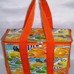 Lunch Cooler with Insulator Bag IC-1