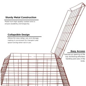 Scratch Pen 17 Lines (Color Green Available)